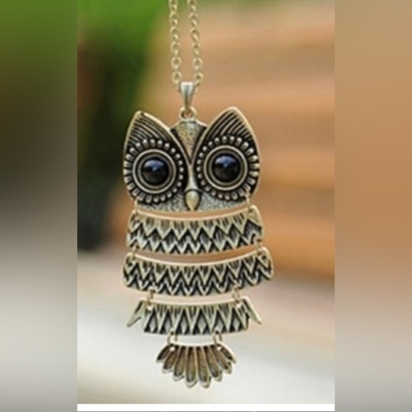 Park Lane Jewelry - Silver tone Owl necklace- Park Lane NWT